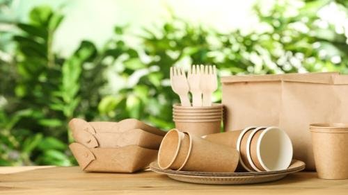 shutterstock_1481980022-Biodegradability-Packaging-Certification